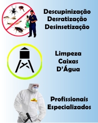 Descupinização - Desratização - Desinsetização - Dedetização - Profissionais Especializados - exterminio de cupim rato inseto aranha barata escorpião morcego - COVID19 - CORONAVIRUS - Quarentena - Pandemia - Epidemia